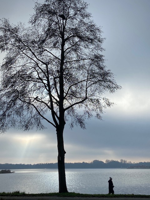 Zen.nl, Zen, meditatie, leren mediteren, foto